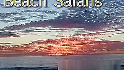 Rafians Beach Safaris 30