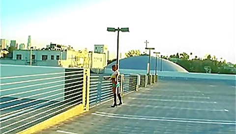 Public Flashing and Masturbation Public Flashing and Masturbation