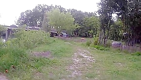Sucette En Voiture Faciale Dans Un Parc.... #02