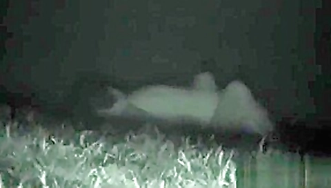 CLIP #203 _ Voyeurismo Public Sex CLIP #203 _ Voyeurismo Public Sex